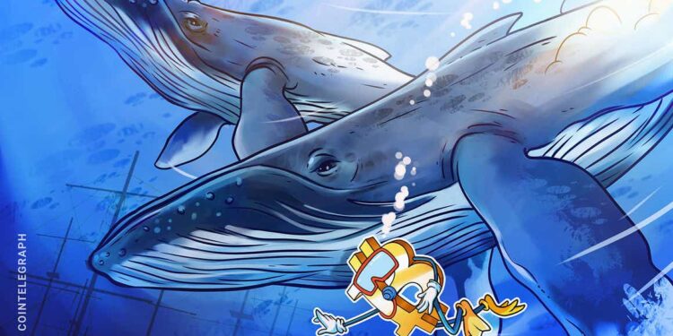 ‘Stop panic selling’ — Bitcoin whales bag spare BTC as exchange balances fall