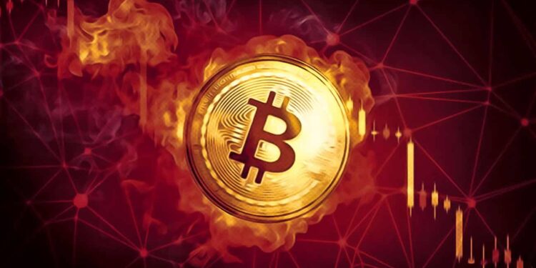 Bitcoin Trading Below $39k, As it is Oversold For the First Time Since May