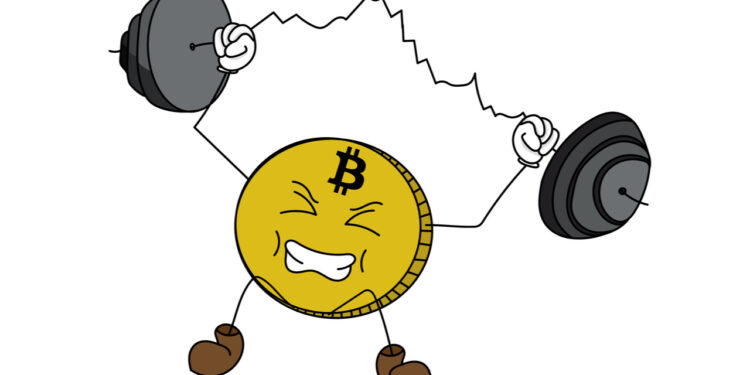 Bitcoin Hashrate Hits Another Milestone, Network’s Mining Difficulty Taps 13-Year High – Mining Bitcoin News