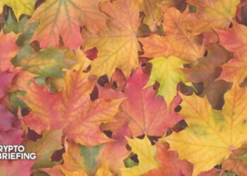 Maple Finance Onboards Celsius as First CeFi Lender